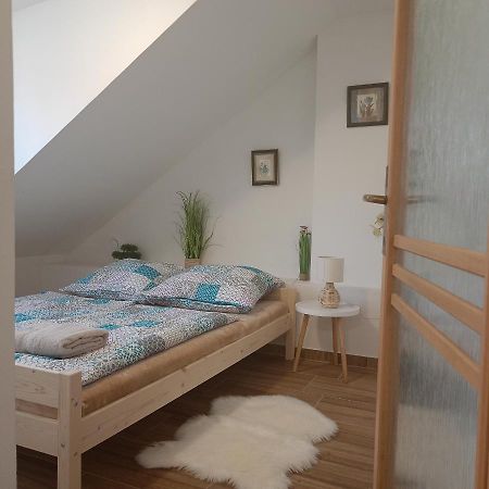 Apartament Kralovak Králŭv Dvŭr Zewnętrze zdjęcie